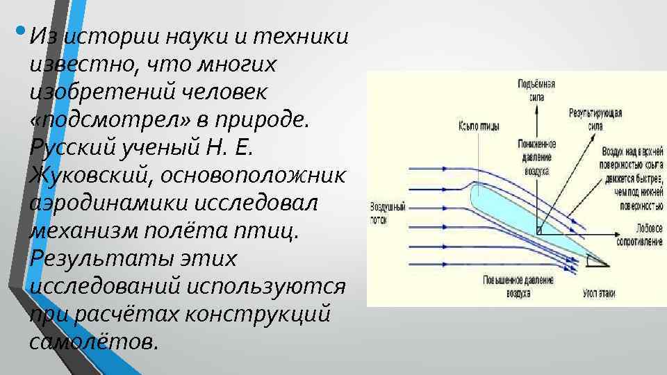  • Из истории науки и техники известно, что многих изобретений человек «подсмотрел» в