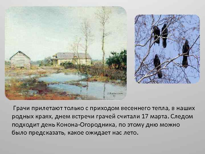  Грачи прилетают только с приходом весеннего тепла, в наших родных краях, днем встречи