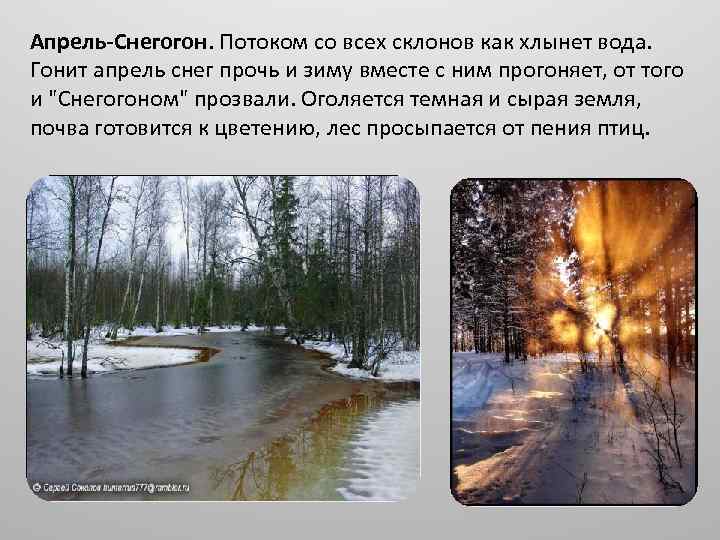 Апрель-Снегогон. Потоком со всех склонов как хлынет вода. Гонит апрель снег прочь и зиму