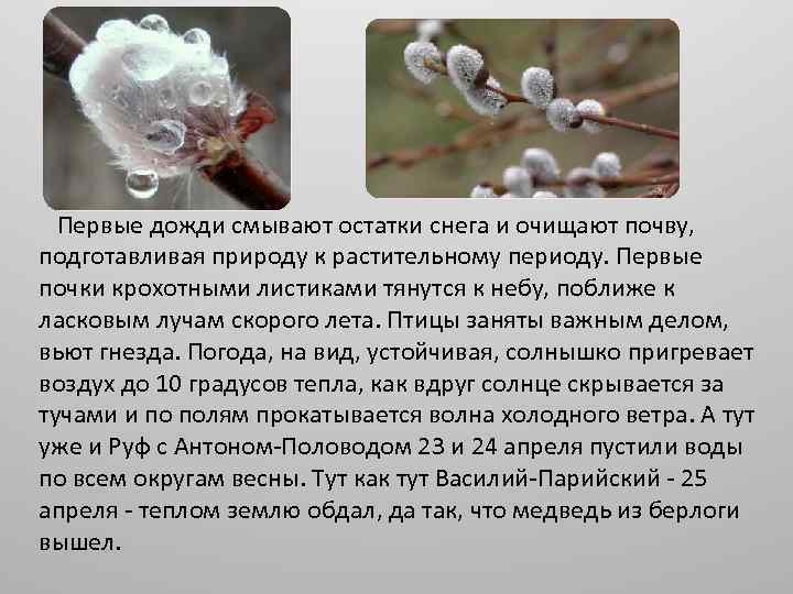  Первые дожди смывают остатки снега и очищают почву, подготавливая природу к растительному периоду.