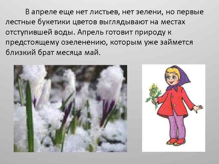  В апреле еще нет листьев, нет зелени, но первые лестные букетики цветов выглядывают