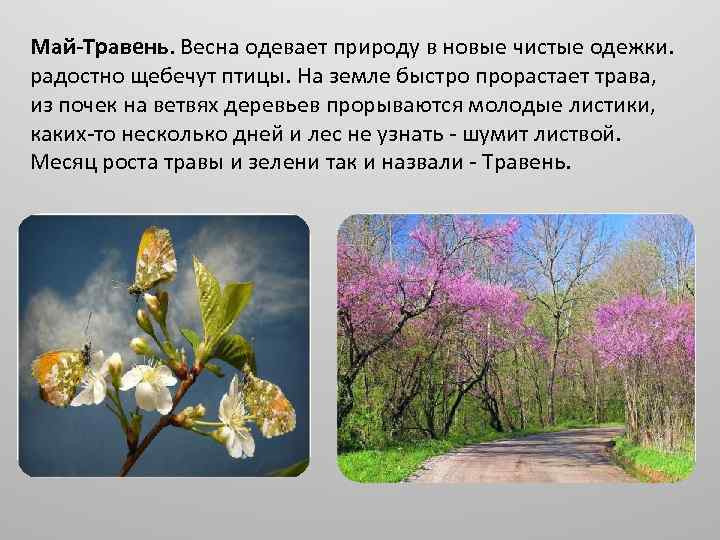 Май-Травень. Весна одевает природу в новые чистые одежки. радостно щебечут птицы. На земле быстро