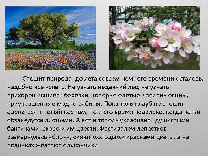  Спешит природа, до лета совсем немного времени осталось, надобно все успеть. Не узнать