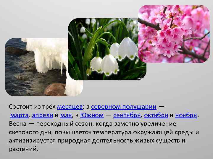 Состоит из трёх месяцев: в северном полушарии — марта, апреля и мая, в Южном