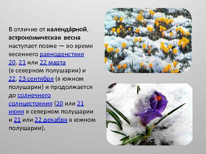 В отличие от календа рной, астрономическая весна наступает позже — во время весеннего равноденствия