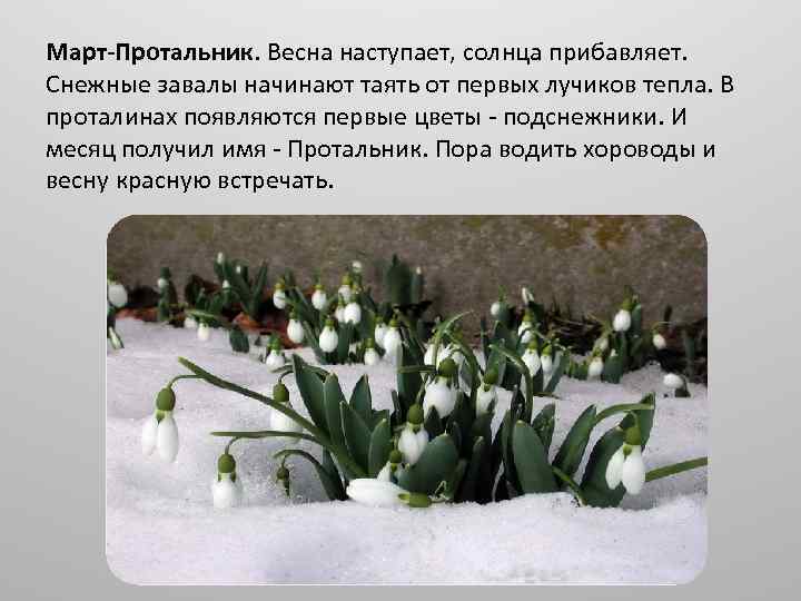 Март-Протальник. Весна наступает, солнца прибавляет. Снежные завалы начинают таять от первых лучиков тепла. В