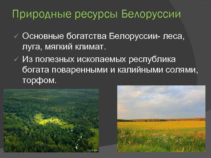 Природные ресурсы Белоруссии Основные богатства Белоруссии- леса, луга, мягкий климат. ü Из полезных ископаемых