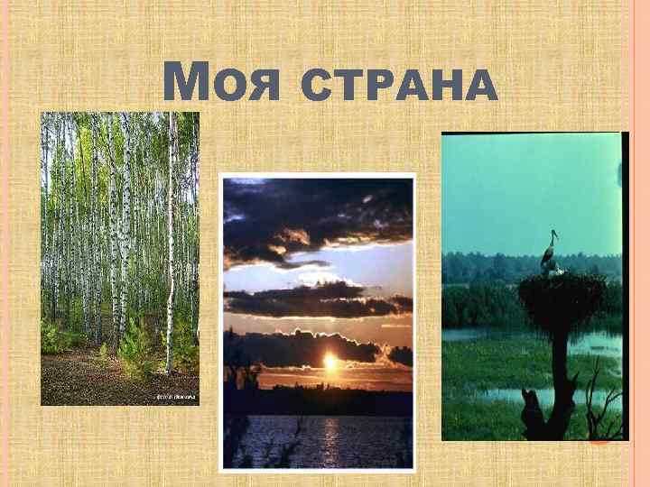 МОЯ СТРАНА 