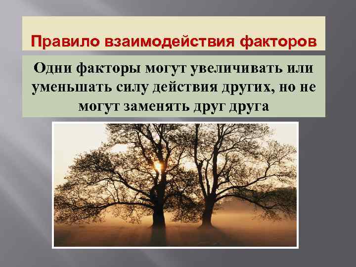 Правило взаимодействия факторов Одни факторы могут увеличивать или уменьшать силу действия других, но не