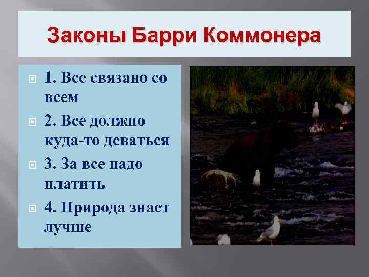 Законы Барри Коммонера 1. Все связано со всем 2. Все должно куда-то деваться 3.