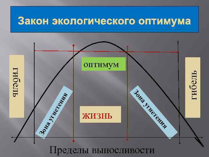 Закон экологического оптимума ете на Зо гибель я Пределы выносливости ни те не жизнь