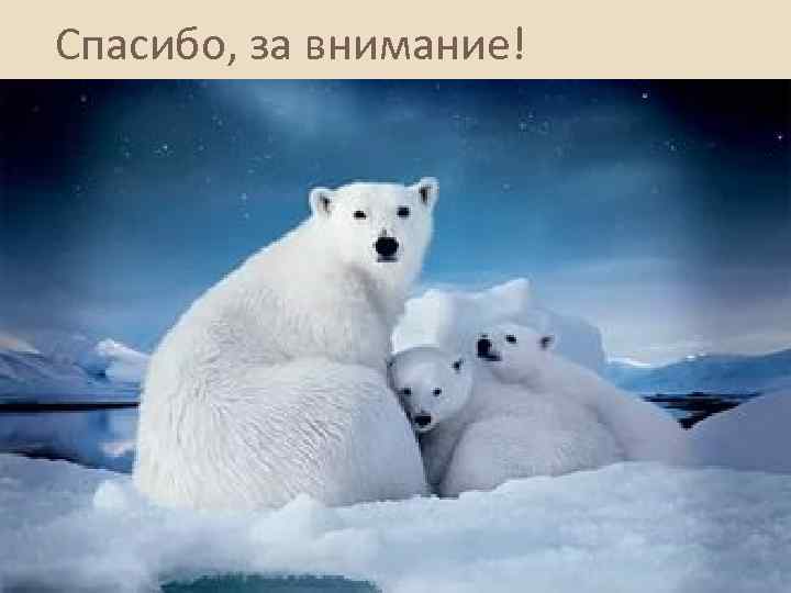 Спасибо, за внимание! 