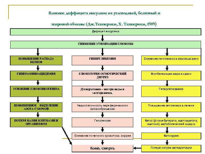 Влияние деффицита инсулина на углеводный, белковый и жировой обмены (Дж. Теппермен, Х. Теппермен, 1989)