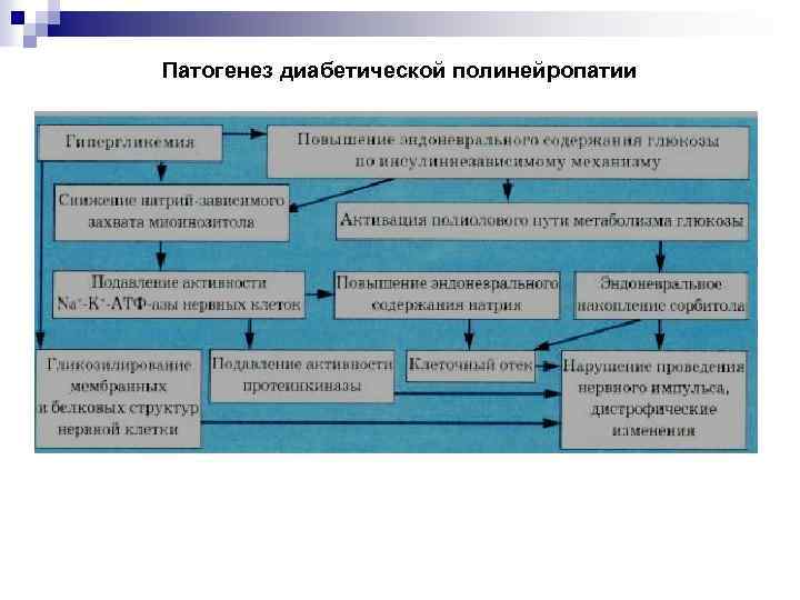 Патогенез диабетической полинейропатии 