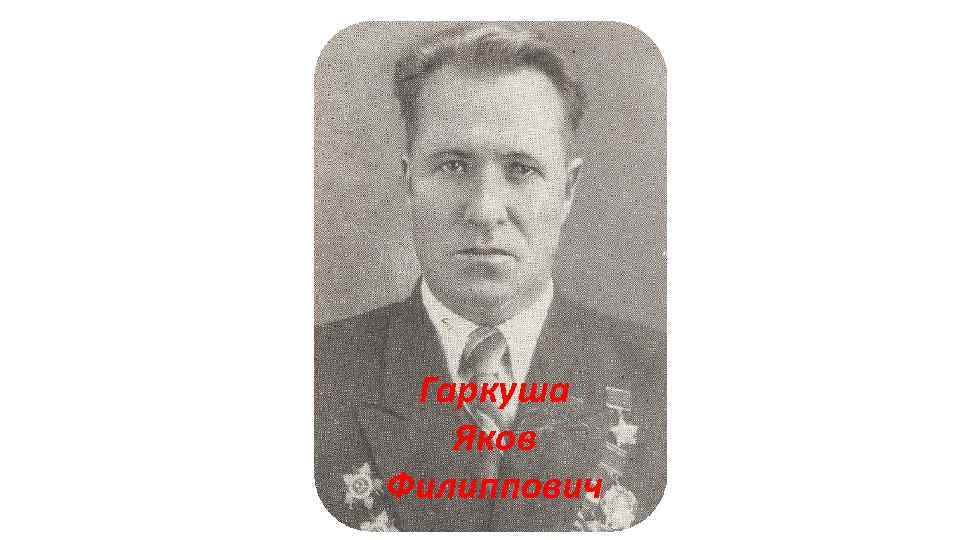 Гаркуша Яков Филиппович 