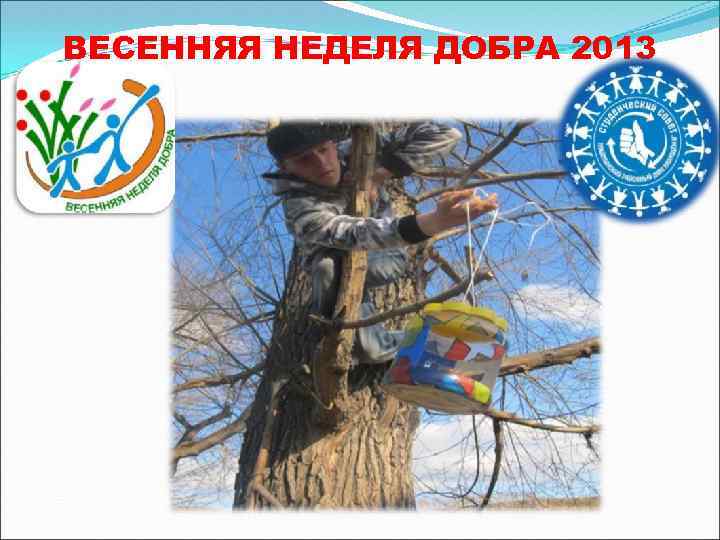 ВЕСЕННЯЯ НЕДЕЛЯ ДОБРА 2013 