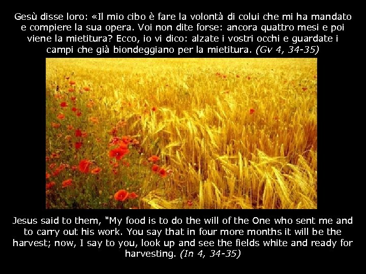 Gesù disse loro: «Il mio cibo è fare la volontà di colui che mi