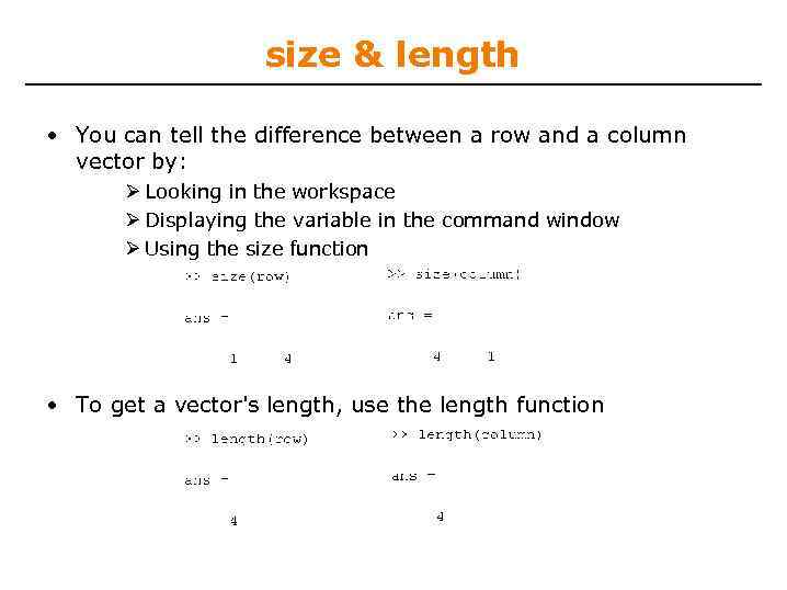 size & length • You can tell the difference between a row and a
