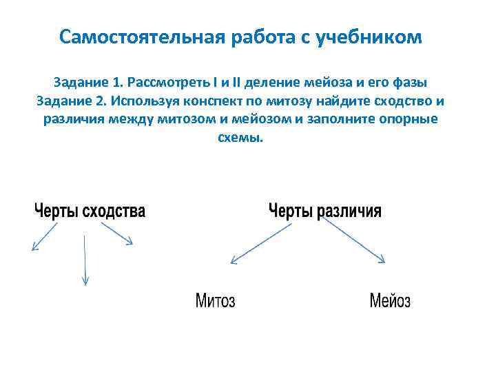 Самостоятельная работа с учебником Задание 1. Рассмотреть I и II деление мейоза и его