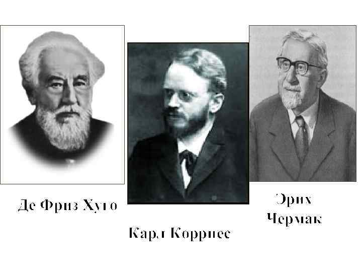 Де Фриз Хуго Карл Коррнес Эрих Чермак 