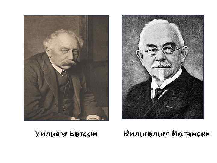 Уильям Бетсон Вильгельм Иогансен 
