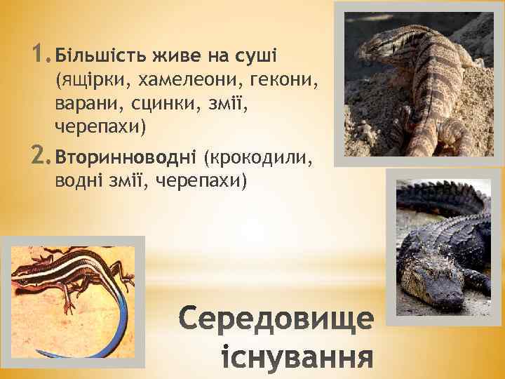 1. Більшість живе на суші (ящірки, хамелеони, гекони, варани, сцинки, змії, черепахи) 2. Вторинноводні