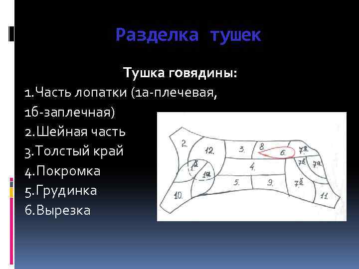 Разделка тушек Тушка говядины: 1. Часть лопатки (1 а-плечевая, 1 б-заплечная) 2. Шейная часть