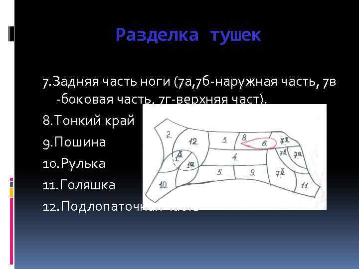 Разделка тушек 7. Задняя часть ноги (7 а, 7 б-наружная часть, 7 в -боковая