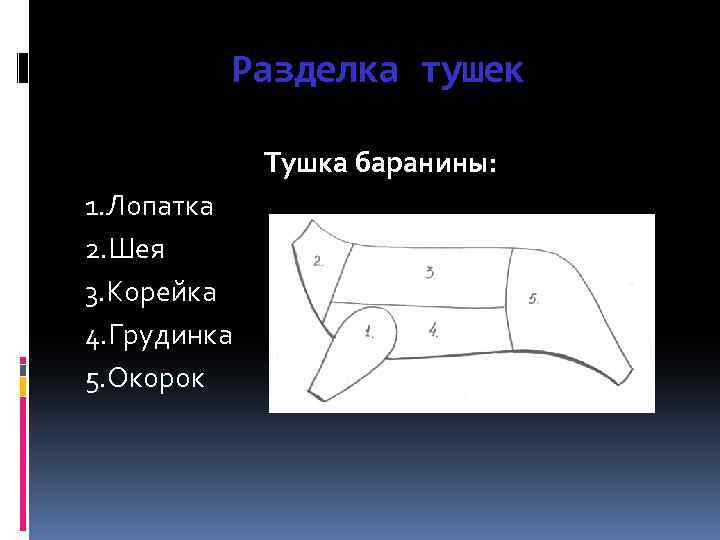 Разделка тушек Тушка баранины: 1. Лопатка 2. Шея 3. Корейка 4. Грудинка 5. Окорок