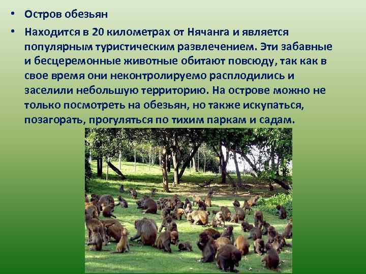  • Остров обезьян • Находится в 20 километрах от Нячанга и является популярным