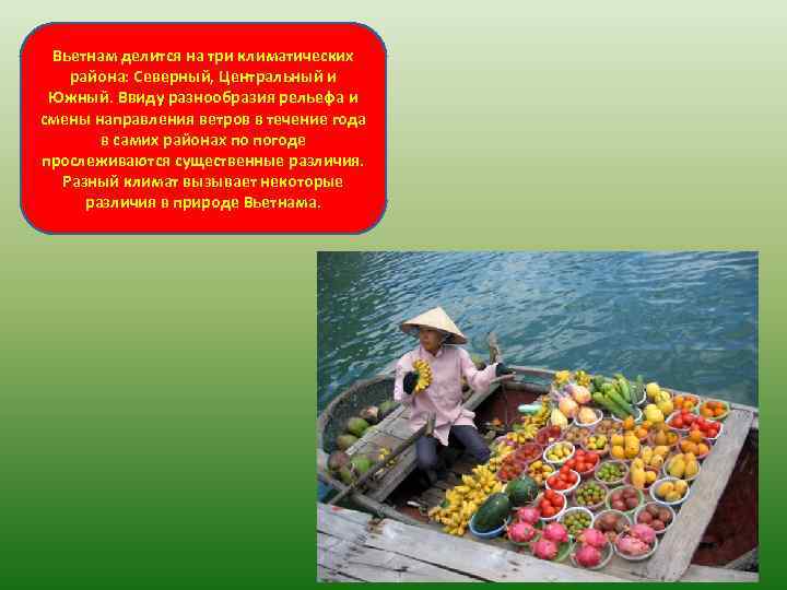 Вьетнам делится на три климатических района: Северный, Центральный и Южный. Ввиду разнообразия рельефа и
