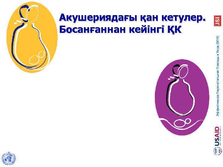 Эффективная Перинатальная Помощь и Уход (ЭПУ) Акушериядағы қан кетулер. Босанғаннан кейінгі ҚК 