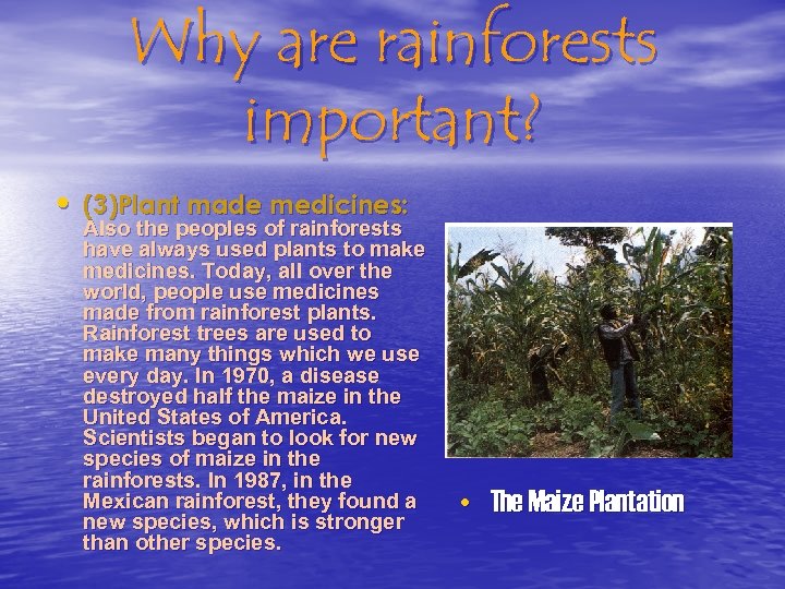 Why are rainforests important? • (3)Plant made medicines: Also the peoples of rainforests have