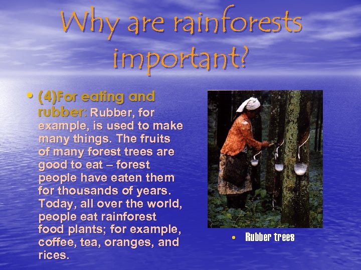 Why are rainforests important? • (4)For eating and rubber: Rubber, for example, is used
