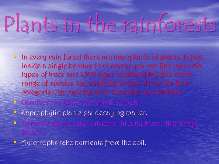 Plants in the rainforests • In every rain forest there are many kinds of
