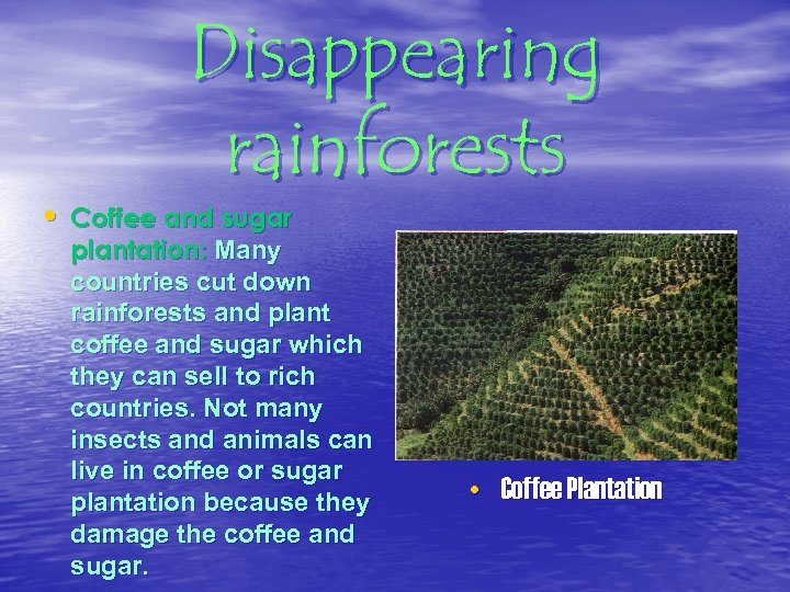 Disappearing rainforests • Coffee and sugar plantation: Many countries cut down rainforests and plant
