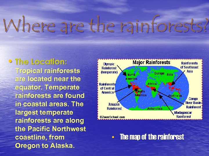 Where are the rainforests? • The Location: Tropical rainforests are located near the equator.