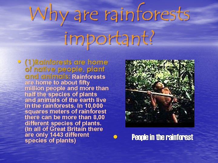 Why are rainforests important? • (1)Rainforests are home of native people, plant and animals:
