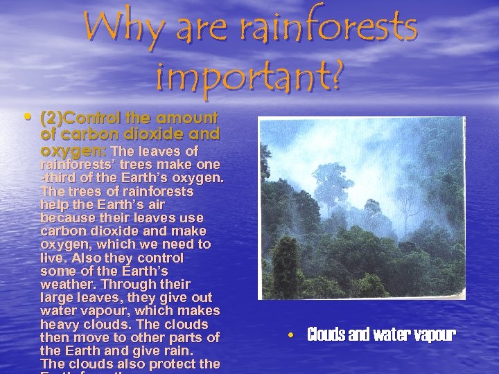 Why are rainforests important? • (2)Control the amount of carbon dioxide and oxygen: The