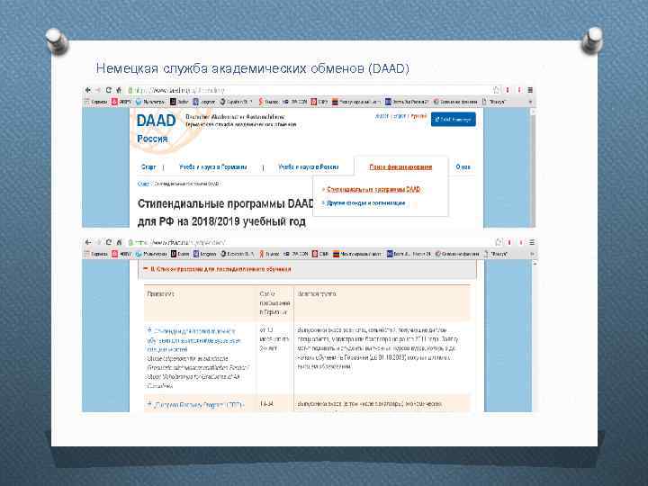 Немецкая служба академических обменов (DAAD) 
