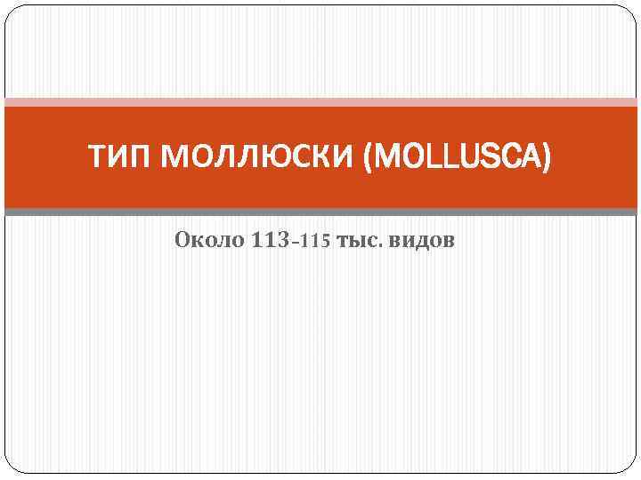 ТИП МОЛЛЮСКИ (MOLLUSCA) Около 113 -115 тыс. видов 