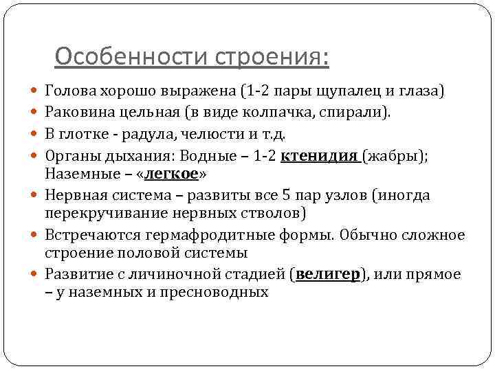 Особенности строения: Голова хорошо выражена (1 -2 пары щупалец и глаза) Раковина цельная (в