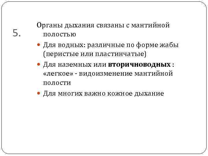 5. Органы дыхания связаны с мантийной полостью Для водных: различные по форме жабы (перистые
