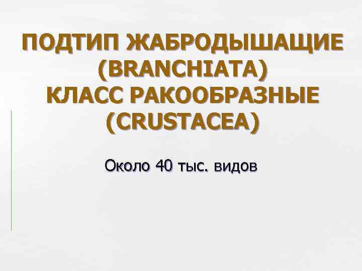 ПОДТИП ЖАБРОДЫШАЩИЕ (BRANCHIATA) КЛАСС РАКООБРАЗНЫЕ (CRUSTACEA) Около 40 тыс. видов 