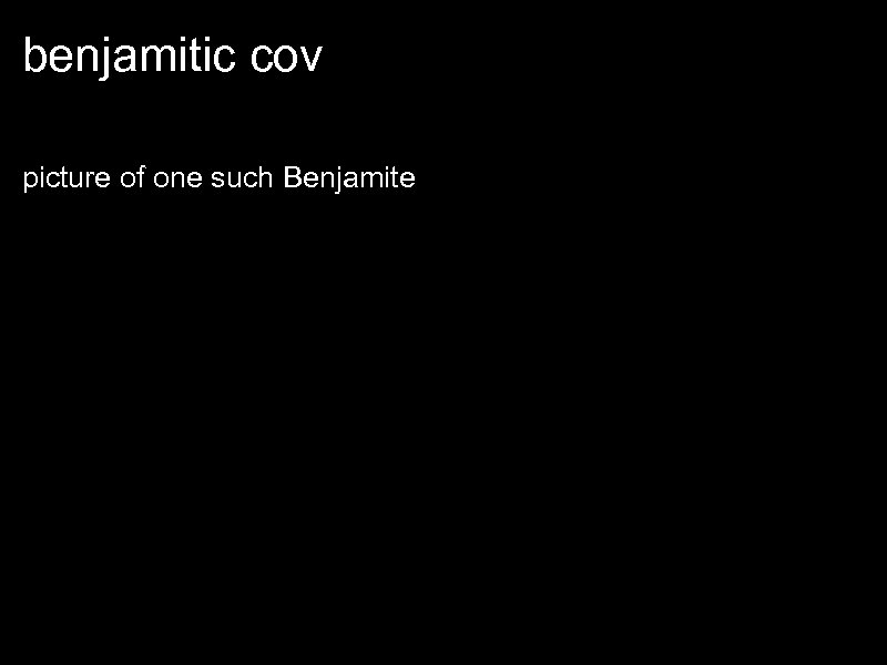 benjamitic cov picture of one such Benjamite 