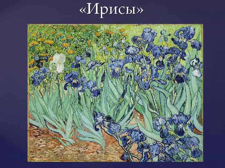  «Ирисы» 