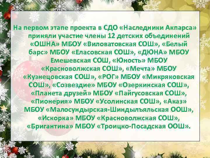 На первом этапе проекта в СДО «Наследники Акпарса» приняли участие члены 12 детских объединений