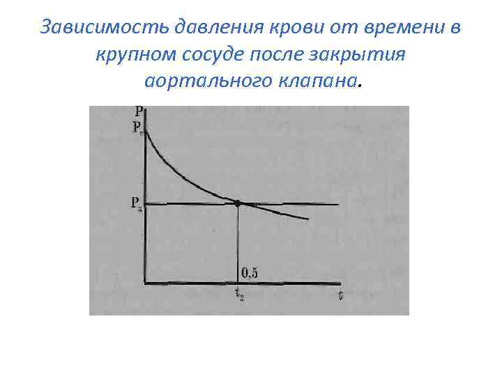 Зависимость давления крови от времени в крупном сосуде после закрытия аортального клапана. 
