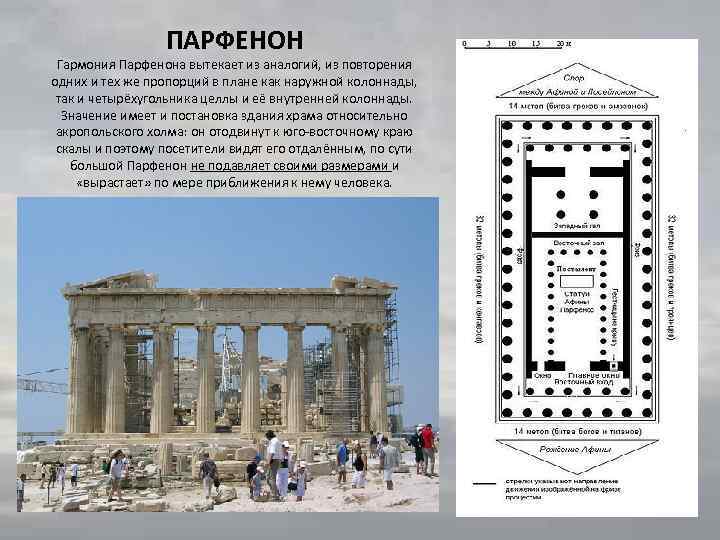 ПАРФЕНОН Гармония Парфенона вытекает из аналогий, из повторения одних и тех же пропорций в