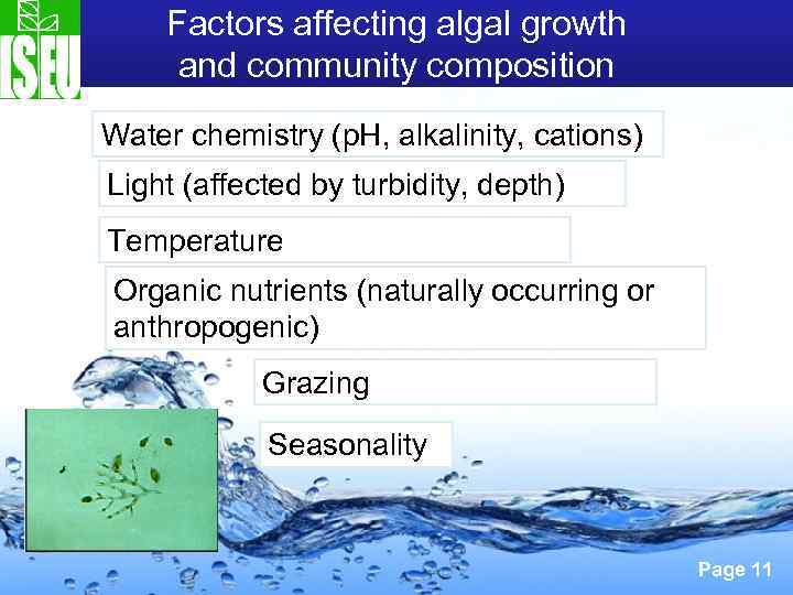 Factors affecting algal growth and community composition Water chemistry (p. H, alkalinity, cations) Light